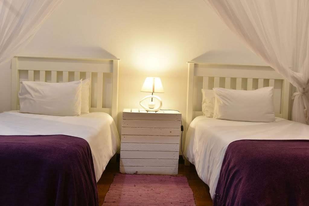 Sommerschield Guest House マプト エクステリア 写真